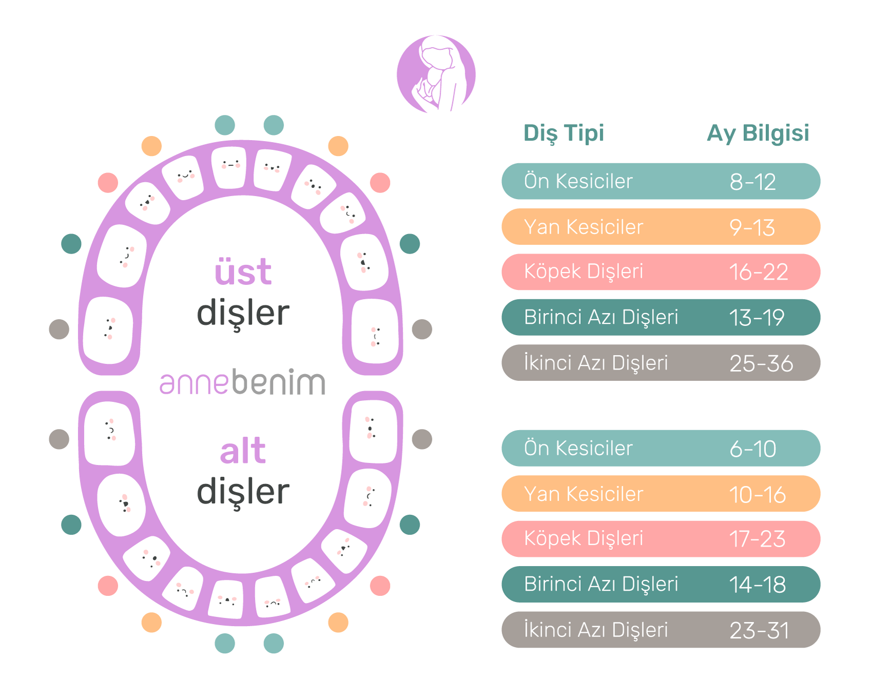 Bebeklerde Diş Çıkarma Belirtileri Nelerdir AnneBenim